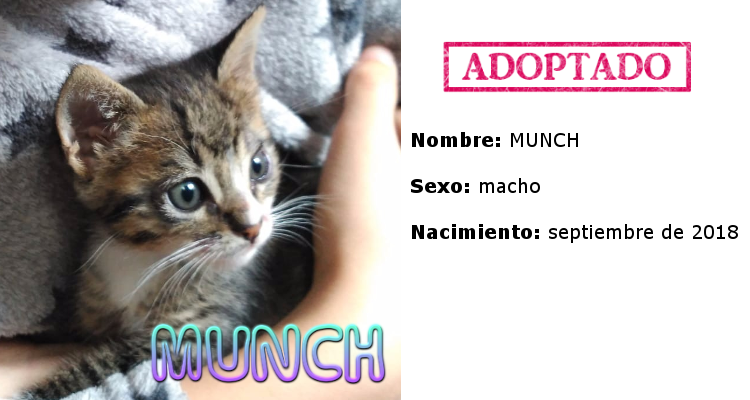Munch adoptado