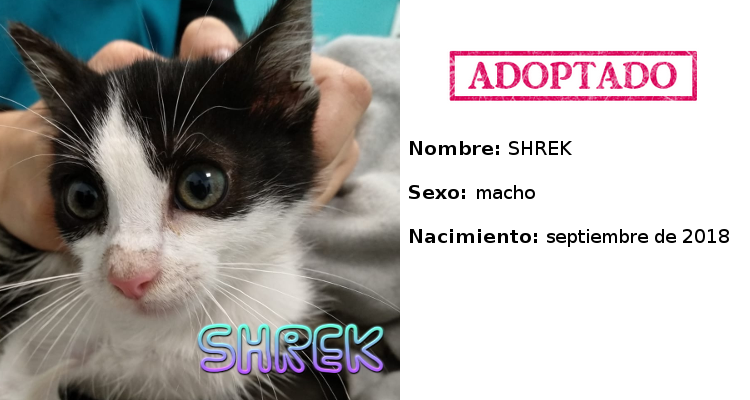Shrekad adoptado
